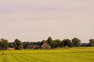 Scenic rural landscape photo