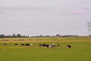 Scenic rural landscape photo