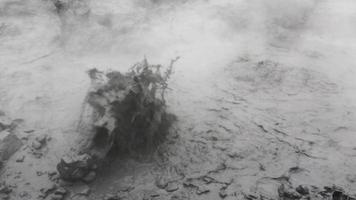 volcánico actividad - ver de hirviendo térmico barro maceta en cráter activo volcán video