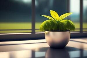 verde planta en florero en de madera mesa con negro pared antecedentes foto