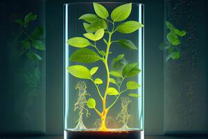 illustration of Science and biotechnology concept. Growing of plant in laboratory photo