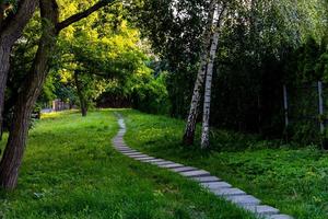 summer landscape stone path among green plants and birches photo