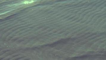 mer plage l'eau ondulation Contexte video