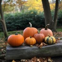 Pumpkins on a wooden table in a jungle photo