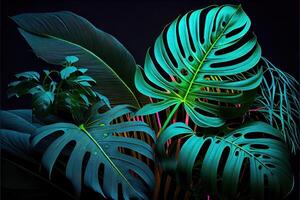 illustration of Dark green tropical leaves colorful neon light, backlight, leaves composition, plant background, manstera, palm leaves photo