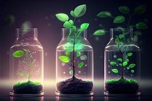 illustration of Science and biotechnology concept. Growing of plant in laboratory photo