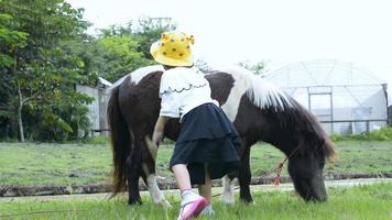 pequeño asiático niña es acariciando el caballos pelo en el granja. video