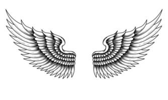 Vector angel wings tattoo design