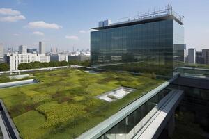 illustration of Gorgeous garden on the rooftop of a contemporary glass office building in Asia photo