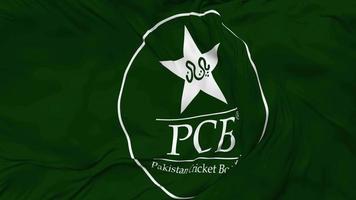 Pakistan cricket asse, pcb bandiera senza soluzione di continuità looping sfondo, loop urto struttura stoffa agitando lento movimento, 3d interpretazione video