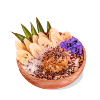 acai Schüssel. Sommer- acai Smoothie hölzern Schalen mit Erdbeeren, Brombeeren, Kokosnuss Obst auf bunt Hintergrund. oben Aussicht Frühstück Schüssel mit Obst und Getreide, Nahansicht. png