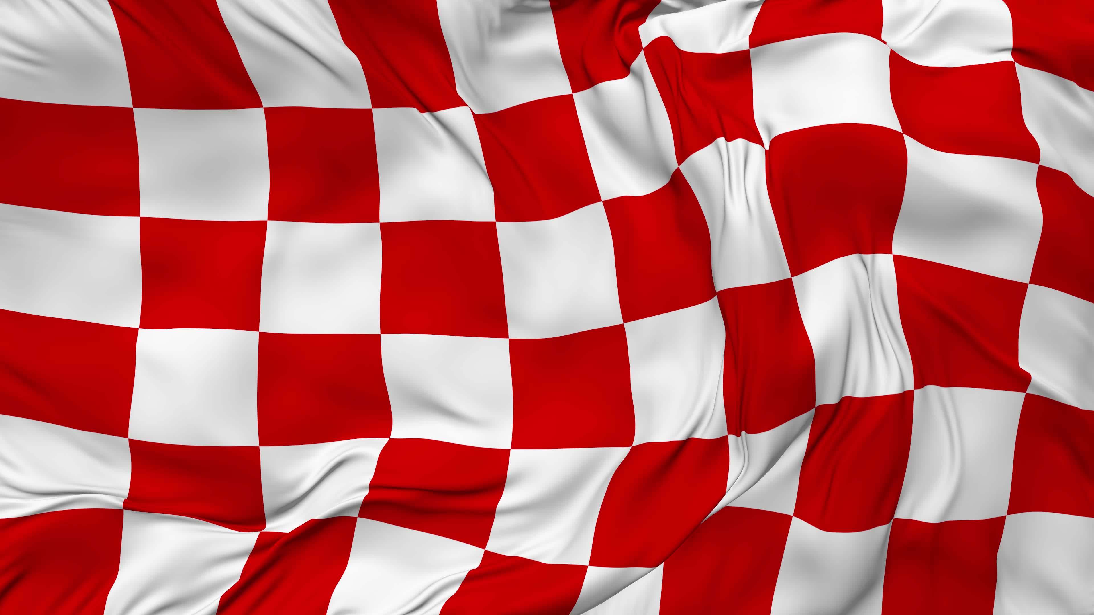 Racing red and white checkered flag seamless looping background looped
