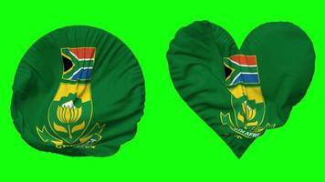 Cricket South Africa, CSA Flag in Heart and Round Shape Waving Seamless Looping, Looped Waving Slow Motion Flag, Chroma Key, 3D Rendering video