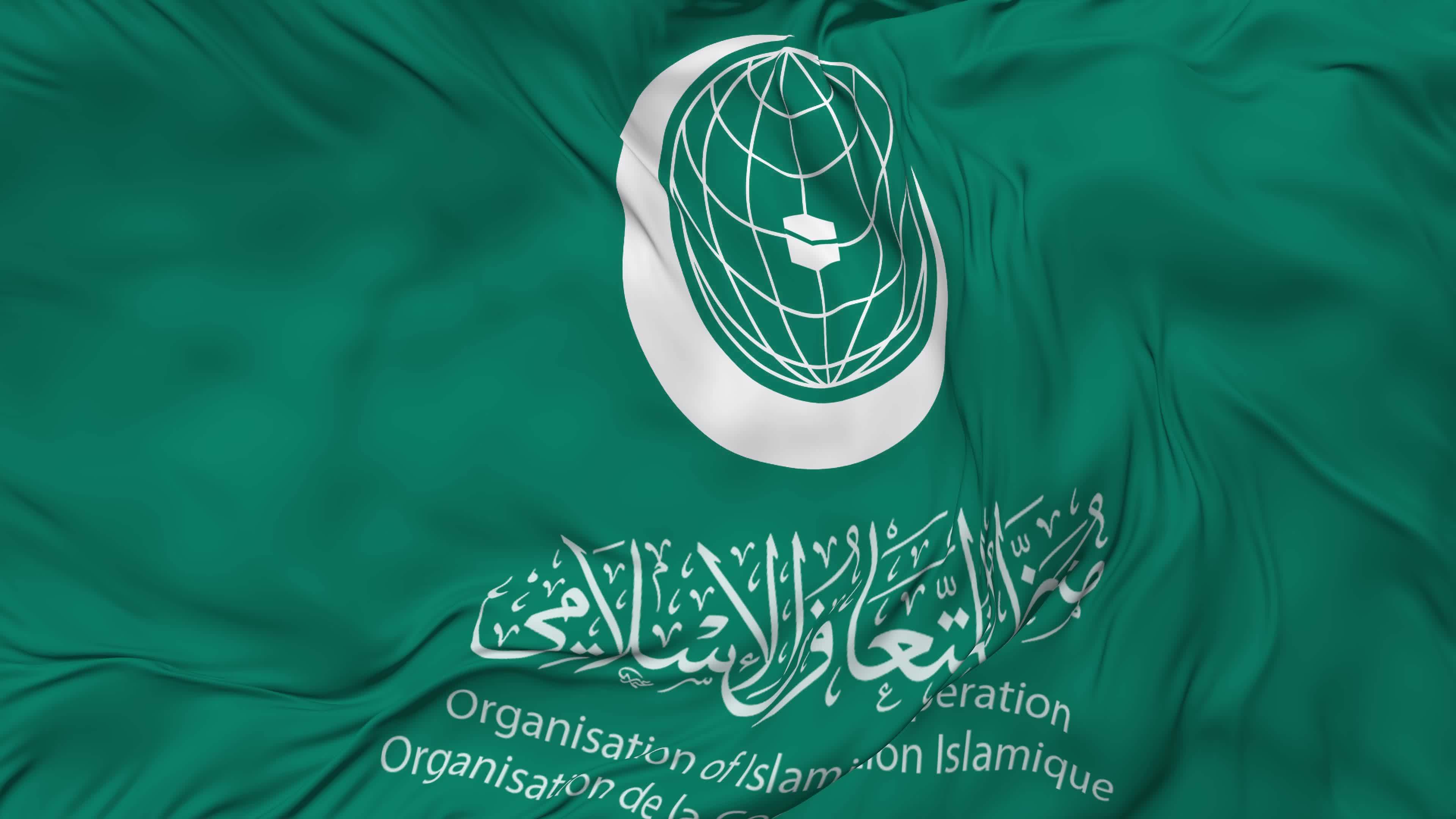 Organisation of Islamic Cooperation Flag Seamless Looping Background