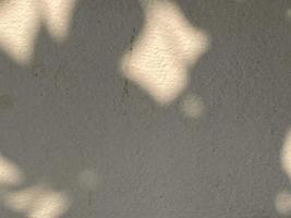 Leaves shadow background on concrete wall texture, leaves tree branches shade with sunlight photo