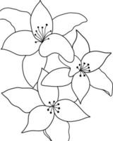 Outline flower of lily on white background. vector illustartion