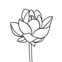 outline lotus flower isolated on white background. vector illustartion