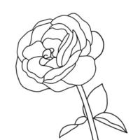 outline rose isolated on white background. vector illustartion