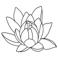 outline lotus flower isolated on white background. vector illustartion