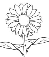 Outline sunflower isolated on white background. Vector illustartion.