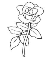 outline rose isolated on white background. vector illustartion