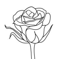 outline rose isolated on white background. vector illustartion