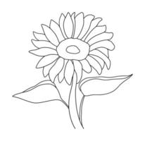 Outline sunflower isolated on white background. Vector illustartion.