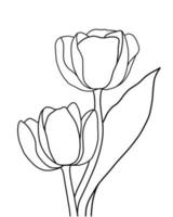 Outline tulip flower isolated on white background vector