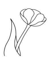 Outline tulip flower isolated on white background vector