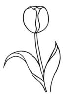 Outline tulip flower isolated on white background vector