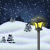 Winter night in the park with garden lamp, Vector Illustration