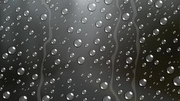 Rain Drop on windshield car window with blurred nature, Vector Illustration