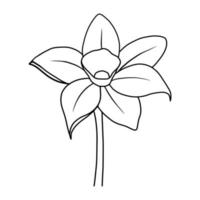 outline flower of daffodil on white background vector