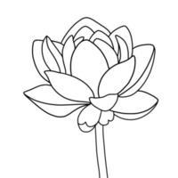 outline lotus flower isolated on white background. vector illustartion