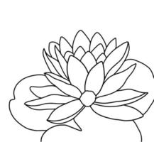 outline lotus flower isolated on white background. vector illustartion