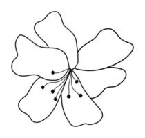 Outline flower of lily on white background. vector illustartion