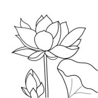 outline lotus flower isolated on white background. vector illustartion