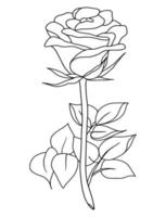 outline rose isolated on white background. vector illustartion