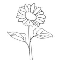 Outline sunflower isolated on white background. Vector illustartion.