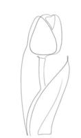 Tulips line art drawing vector