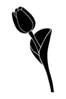 Tulip silhouette isolated on white background. Vector illustartion