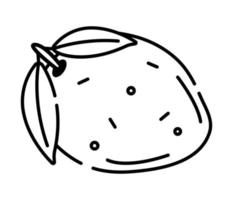 Mango black and white vector line icon, illustration