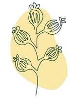 Flower line art vector illustration. Hand drawn botanical illustration.