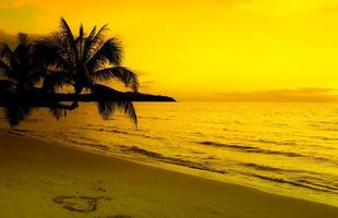 Beautiful sunset on the tropical sea beach.Silhouette of palm trees on pink sky background for travel and vacation as summer photo
