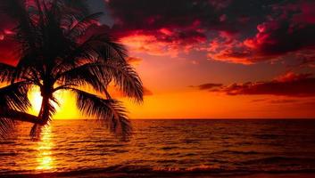 hermosa playa tropical al atardecer con palmeras y cielo rosa para viajes y vacaciones en tiempo de relajación de vacaciones foto