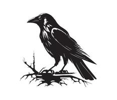 Black birds Raven, crow, rook or jackdaw. Vector illustration in retro style