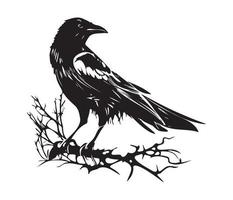 Black birds Raven, crow, rook or jackdaw. Vector illustration in retro style