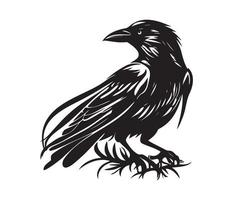 Black birds Raven, crow, rook or jackdaw. Vector illustration in retro style