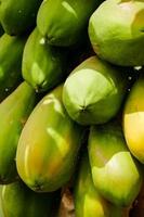 Papaya on tree photo