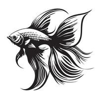 Betta fish vector illustration, fighting fish logo design